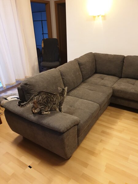 Canapea extensibila / coltar